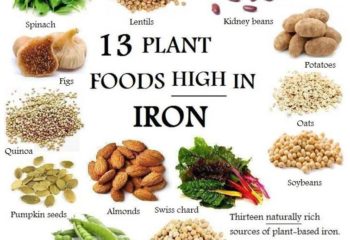 plantfoodshighiniron