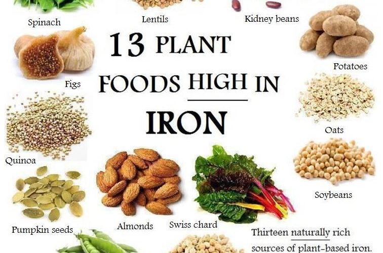 plantfoodshighiniron