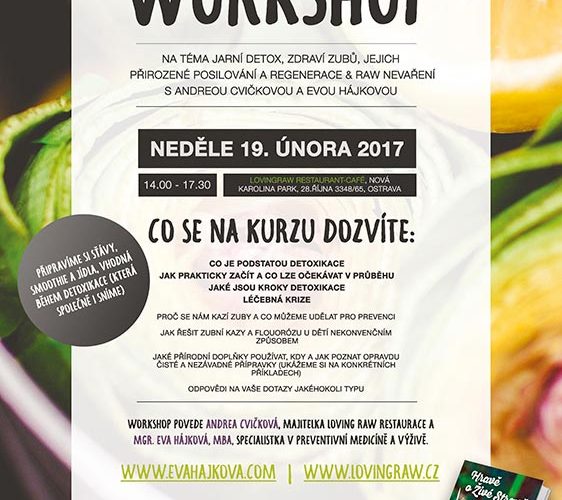 workshop 20170219